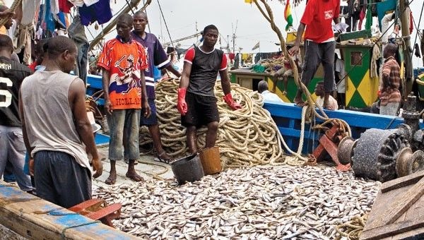 Premix fuel subsidy contributing to depleting fish stock