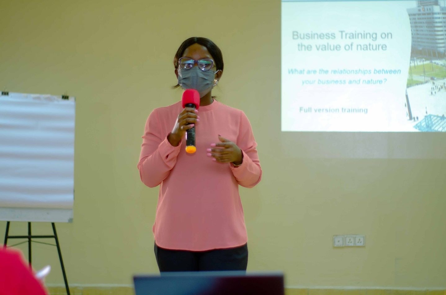 SE-Hub, BESNet organise green economy workshop for SMEs in Takoradi