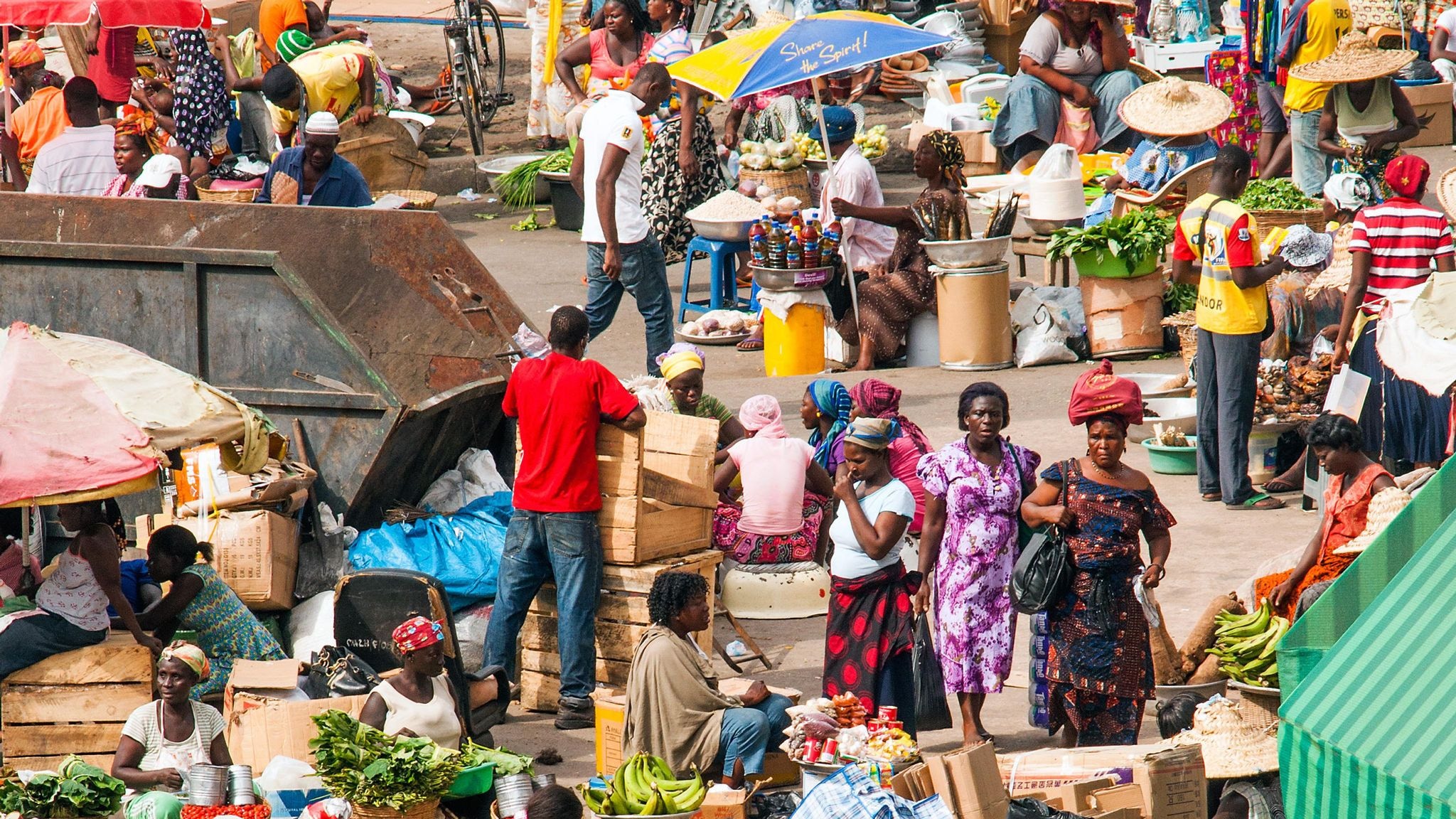 Economy grew steadily in Q4-2023