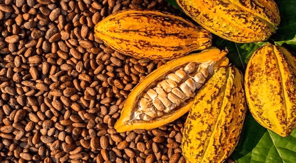 Market sees strong appetite for COCOBOD bond but pricing will be key