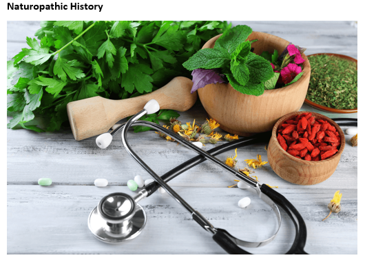 Naturopathy And Holistic Medicine Practice Regulation: A Case Study Of ...