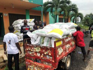 Some 800 farmers in the Sekyere South district of the Ashanti Region have benefitted from the distribution of 32,000 kilogrammes of certified rice seeds and 10 rice threshers, under the Development of Rice and Aquaculture Value Chain for Youth Empowerment (RAV CHAIN) project.