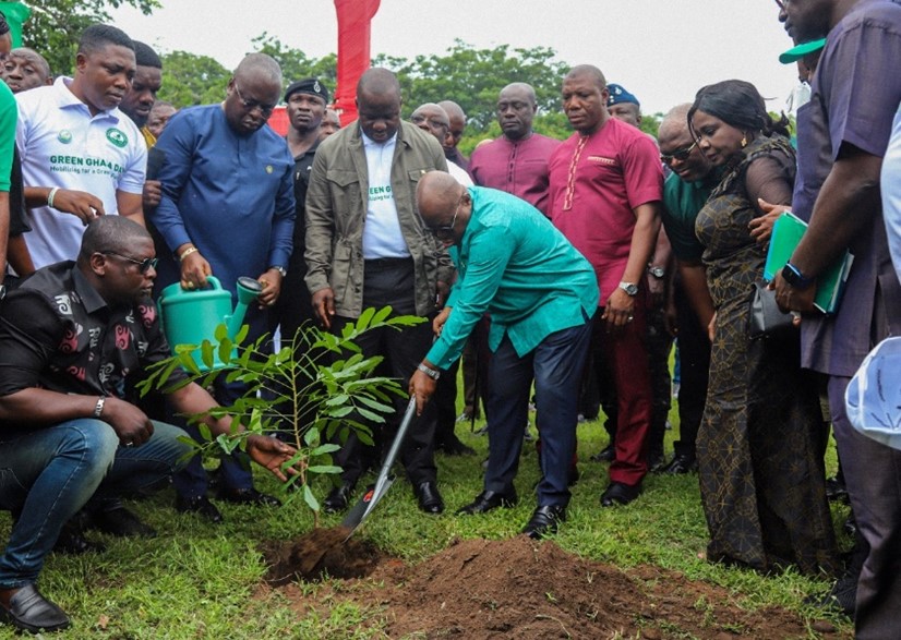 Tree-planting – A Solution To Environmental Problem? - The Business ...