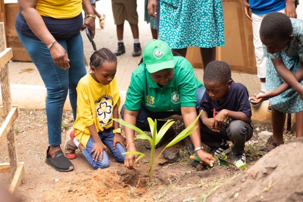 Karpowership plants 3,000 trees with Achimota Basic School - The ...