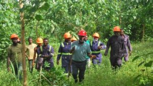 Entrepreneurs forge the forest economy