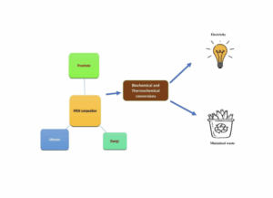 Organic waste is gold: The case for biogas