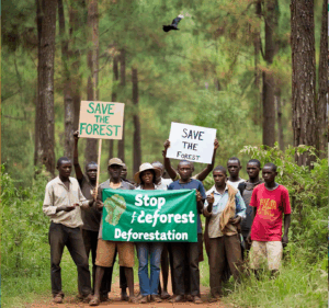 Sustainability Corner with Ebenezer ASUMANG: Environmental Activism: The role of Development Communication