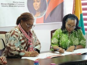 Lack of harmonised standards disrupting intra-African trade – business leaders