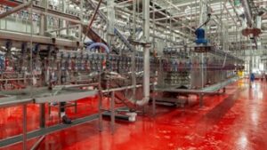 Reviving the poultry sector: A 25% import substitution challenge