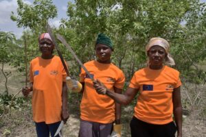 Breaking the cycle of poverty and environmental degradation