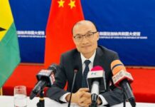 Africa-China trade hits US$134bn in first 5 months of 2025