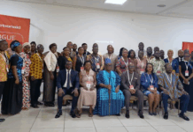 Innovative financing models key to bridging development gaps – expert