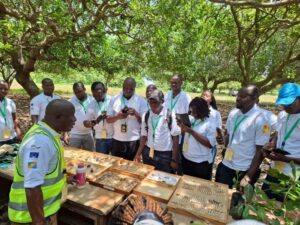 Wenchi local authorities hail cashew training programme, eye agricultural transformation