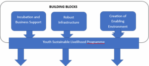Reviving the poultry sector: Maize, soya, and the youth solution