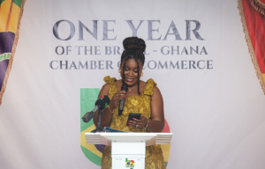 Brazil-Ghana Chamber of Commerce charts path for expansion
