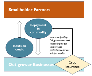 Crops, climate and courage: The path to agricultural resilience