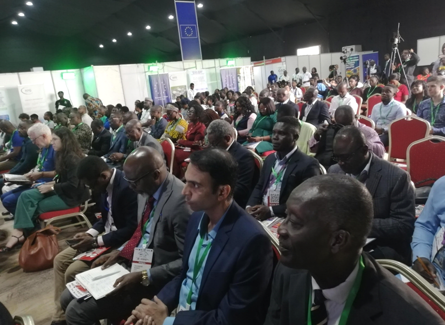 Local industries reel under flood of parallel imports  – AGI warns of dire impact on economy    
