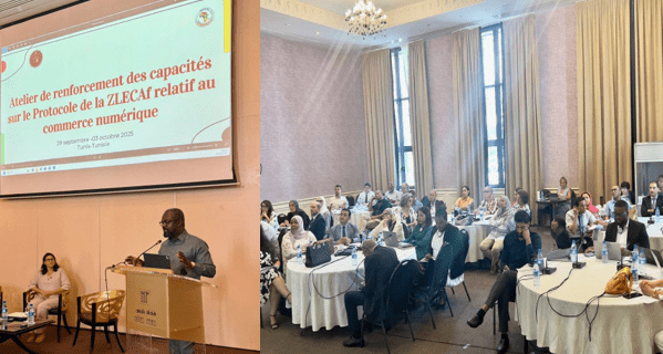 AfCFTA PAGE: Domestication of the AfCFTA protocol on digital trade boosted