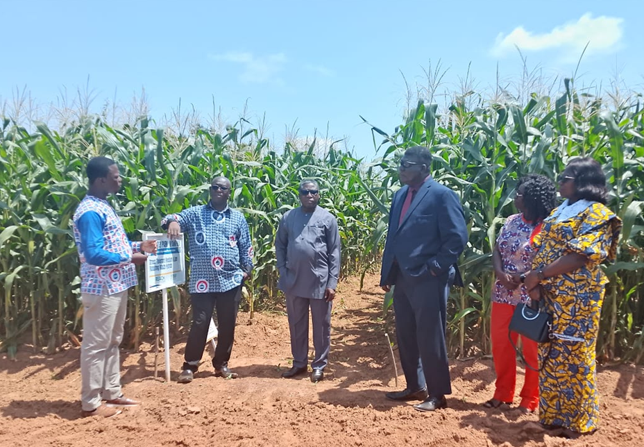 CSIR-SARI Technology Park to enhance food security and productivity in West Africa