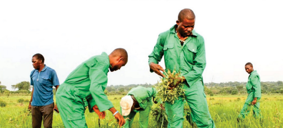 Farmers’Day25: Can farm-financing schemes close the credit gap amid elevated NPLs?