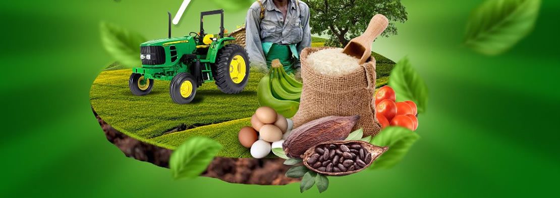 Africa squeezed between import substitution and dependency syndrome