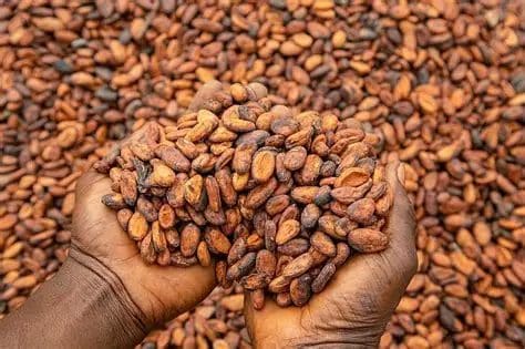 Why reduced cocoa prices should trigger a chocolate industrial revolution