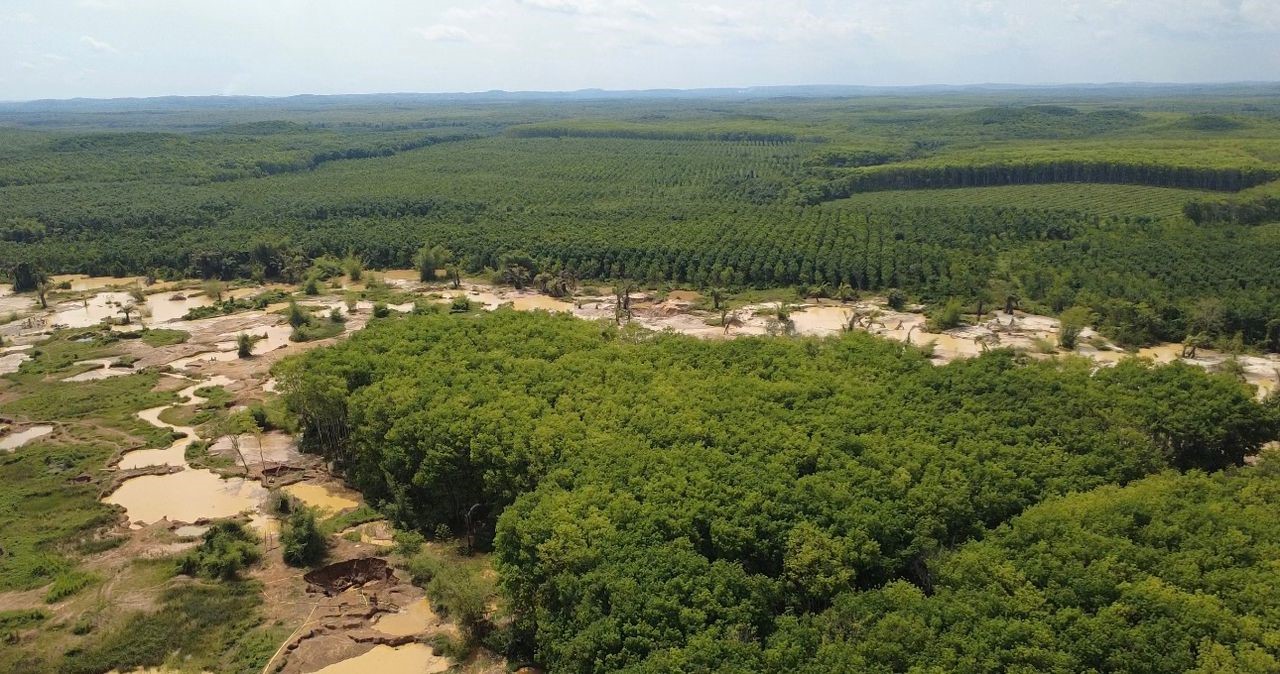 RESEC pushes for swift illegal mining prosecutions