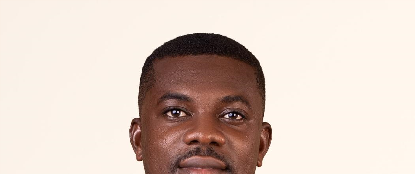 The grid at a crossroads: Why the power distribution sector demands private sector intervention